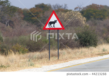 Hyena road sign Hyena road sign 44213288