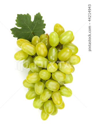 green grapes with leaf isolated on the white background green grapes with leaf isolated on the white background 44214943