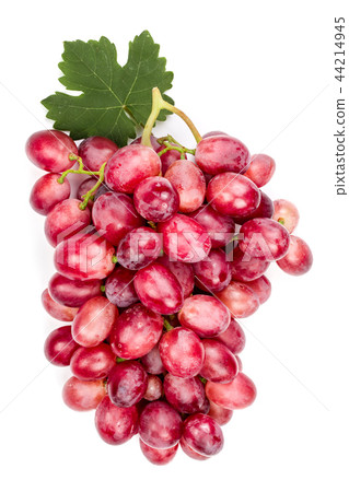 pink grapes with leaf isolated on the white background pink grapes with leaf isolated on the white background 44214945