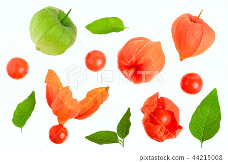 physalis with leaves isolated on white background. Top view. Flat lay pattern physalis with leaves isolated on white background. Top view. Flat lay pattern 44215008