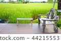Wood chair with rice field background 44215553