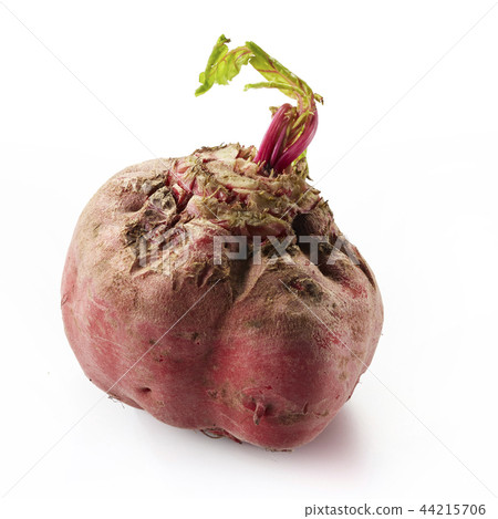 甜菜chioggia 甜菜chioggia 44215706