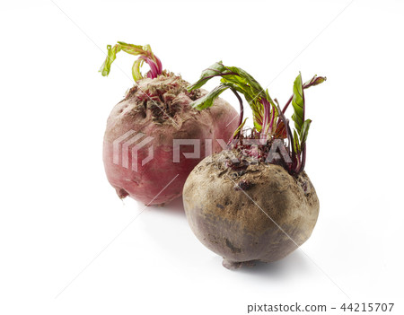 甜菜和甜菜chioggia(甜菜和甜菜chioggia) 甜菜和甜菜chioggia(甜菜和甜菜chioggia) 44215707