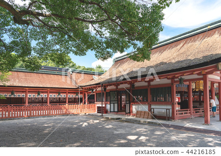 Landscape of Tsushima Shrine Landscape of Tsushima Shrine 44216185