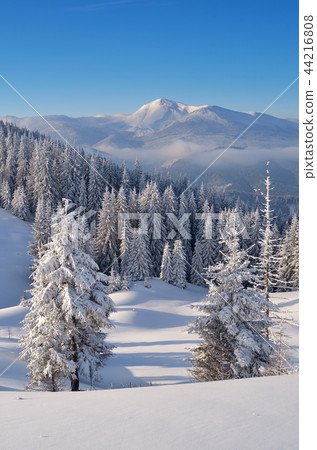 Winter landscape in mountains 44216808