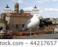 wide view of Rome city from Palatino 44217657