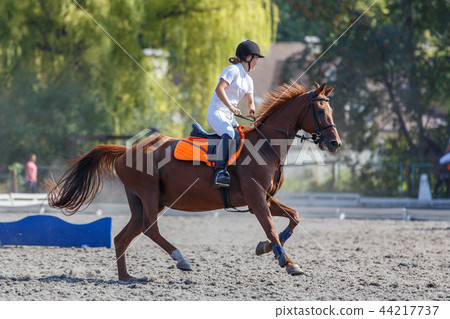Young horse rider girl galloping on her course 44217737