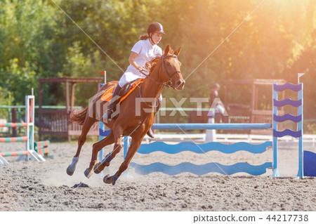 Young horse rider girl galloping on her course Young horse rider girl galloping on her course 44217738
