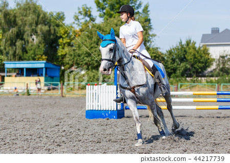 Young horse rider girl galloping on her course Young horse rider girl galloping on her course 44217739