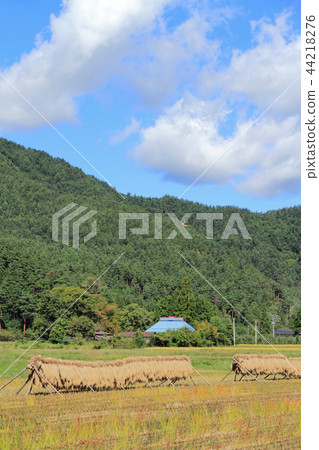 Azumino Matsukawa秋天在阿爾卑斯山北部 44218276