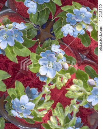 攝影藝術 44218360