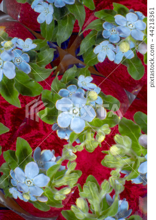 攝影藝術 44218361