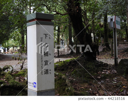 Lower side michi michi 44218516