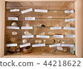 wood cabinet with several skeleton heads 44218622