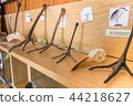 Close up view of several legs and claws of birds. 44218627
