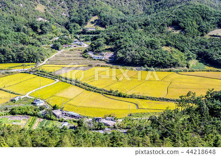 Beopseongpo 44218648