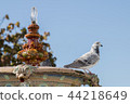 historical urban fountain 44218649