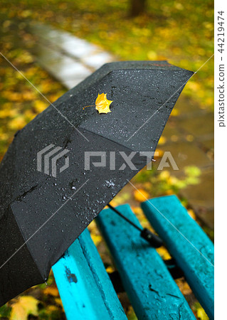 Autumn season, rainy weather, black umbrella Autumn season, rainy weather, black umbrella 44219474