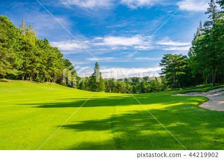 高爾夫球場 高爾夫球場 球道 44219902