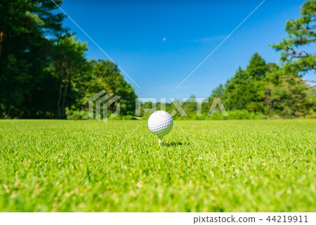 Golf balls teed up on a golf course Golf balls teed up on a golf course 44219911
