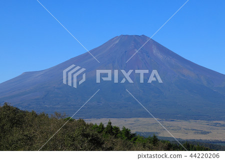 Mt. Fuji in Naka-Autumn 44220206