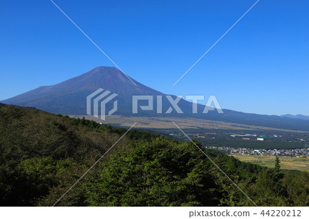 Mt. Fuji in Naka-Autumn 44220212