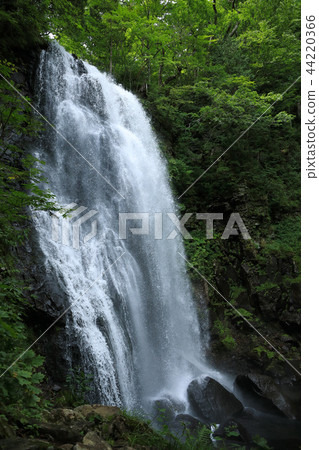 Onogawa固定瀑布 44220366