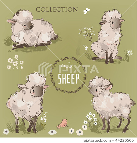 cute sheeps collection 44220500