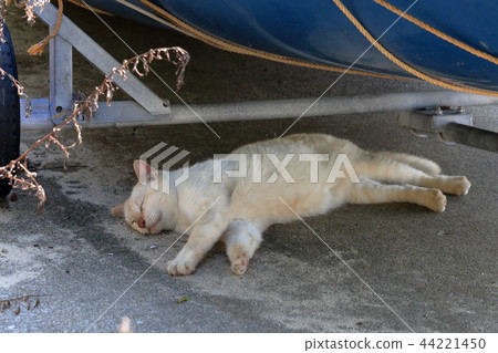 Take a nap under the boat Ogijima (Kagawa Prefecture) 44221450