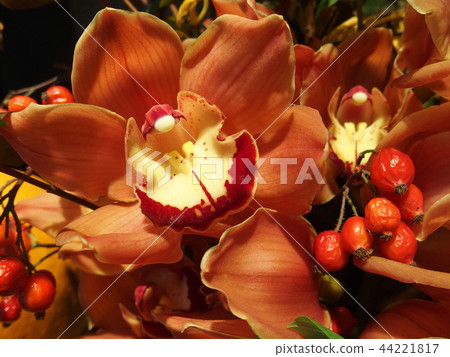 西部運行 44221817