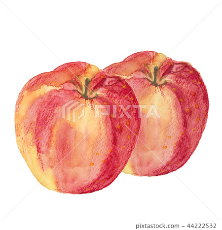 Apple Jonah gold Apple Jonah gold 44222532