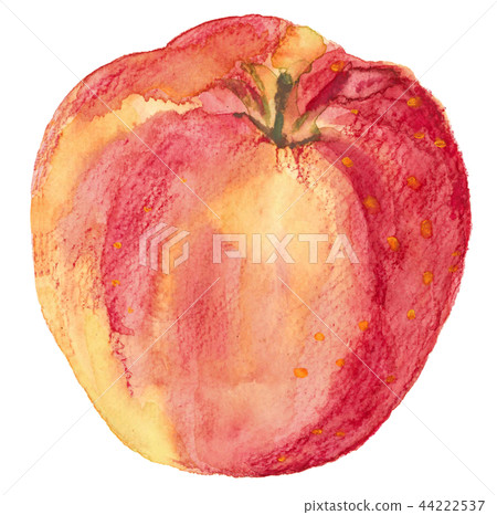 Apple Jonah金牌 Apple Jonah金牌 44222537