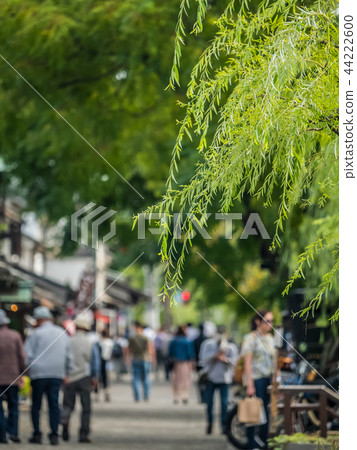 倉敷愛知縣 倉敷愛知縣 44222600