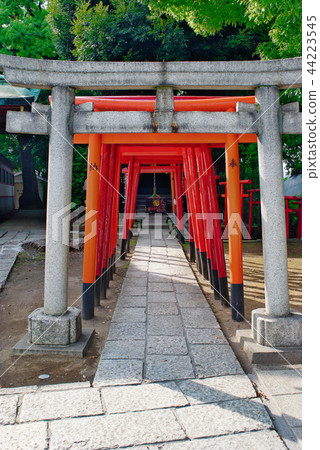 Ana Inari Shrine (Shinagawa Shrine) 44223545