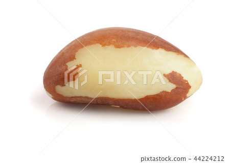 Brazil nuts isolated on white background closeup 44224212