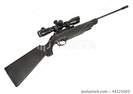 pneumatic air rifle with scope sight  44225003