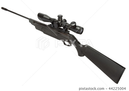 pneumatic air rifle with scope sight  44225004