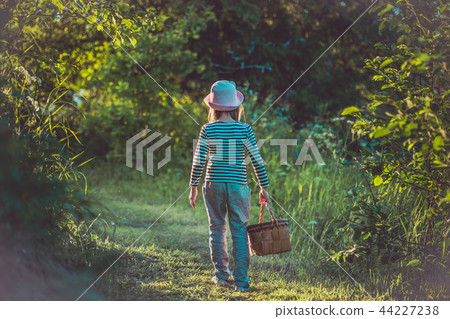 Young girl walking on a path through green woods carrying a basket Young girl walking on a path through green woods carrying a basket 44227238