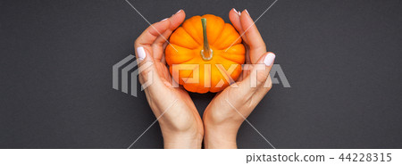 Small orange pumpkin woman hands black background Small orange pumpkin woman hands black background 44228315