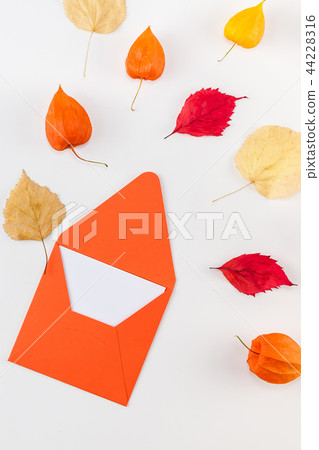 Letter with flying dried flowers and leaves Letter with flying dried flowers and leaves 44228316