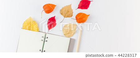 Notebook with flying dried flowers and leaves Notebook with flying dried flowers and leaves 44228317