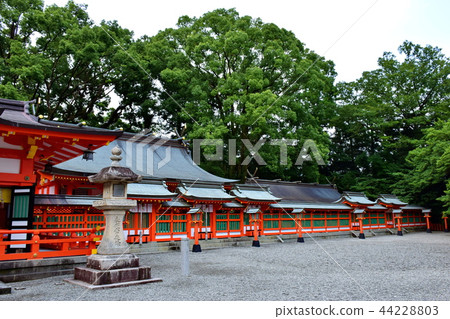 Kumano Miyama Kumano Hayatama Taisha Kamisandon / Eight shrines (Wakayama Shingu city) 44228803