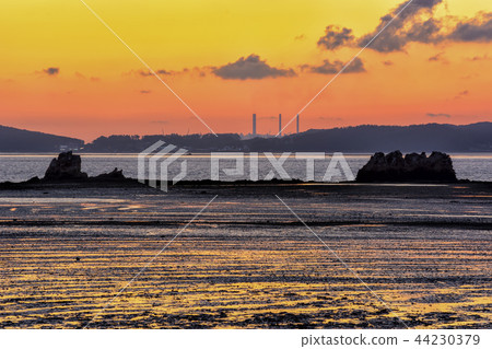 Ballistic Port Ballistic Port 44230379