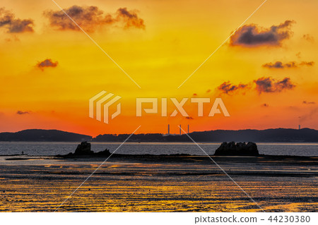 Ballistic Port Ballistic Port 44230380