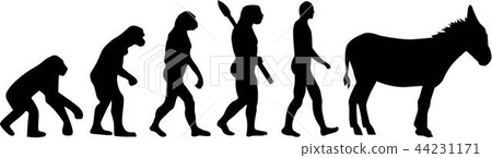 Donkey Evolution Donkey Evolution 44231171