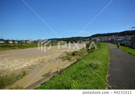 颱風淺川八王子市的痕跡 44231811