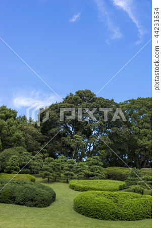 藍天和公園的綠色 藍天和公園的綠色 44231854