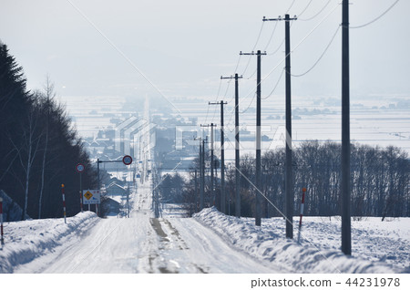 Hokkaido road in winter 44231978