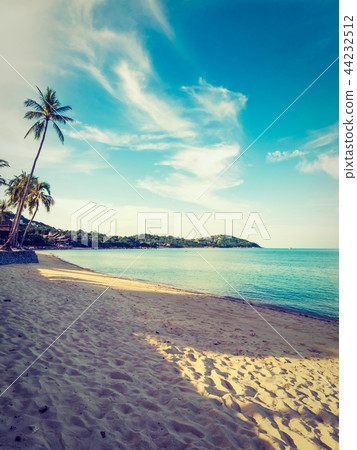 Beautiful tropical beach and sea with coconut palm tree 44232512