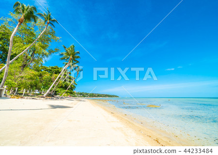 Beautiful tropical beach sea and sand with coconut palm tree on blue sky and white cloud Beautiful tropical beach sea and sand with coconut palm tree on blue sky and white cloud 44233484